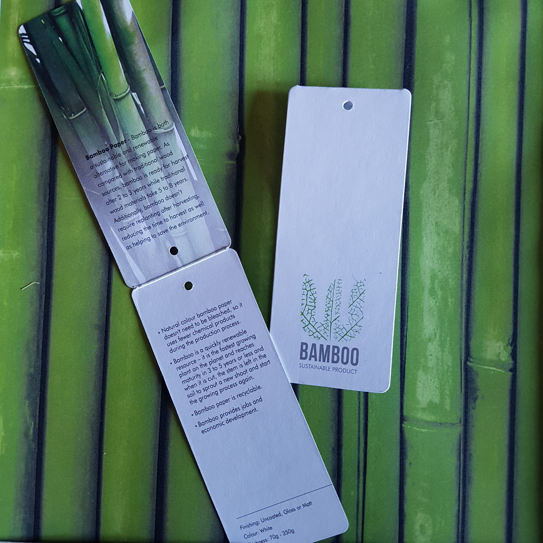 Bamboo-1